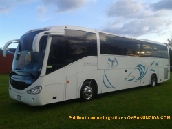 RENTA DE CAMIOENTAS CON O SIN CHOFER