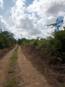 TERRENO EN VENTA  EN CHOLUL