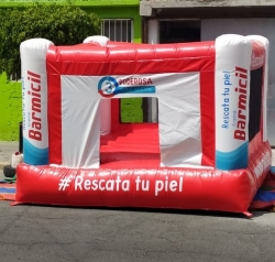 INFLABLES GIGANTES EN DIVERSAS FORMAS