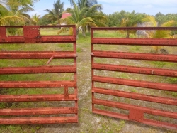 venta terreno celestun yucatan mexico