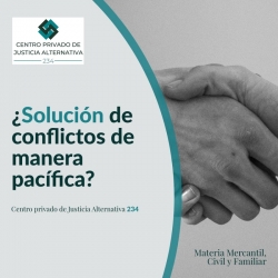 Centro Privado de Justicia Alternativa No. 234