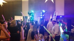 DJ PROFESIONAL VERSATIL PARA FIESTAS DE XV AÑOS,EDO DE MEXICO Y CDMX