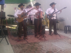 Norteño Para Fiestas Y Eventos