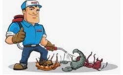 Fumigaciones a domicilio!!