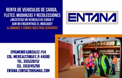 RENTA DE VEHICULOS DE CARGA,FELTES Y MUDANZAS
