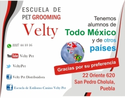 CURSOS DE ESTILISMO CANINO PARA ORINCIPIANTES Y CREACION DENEGOCIOS