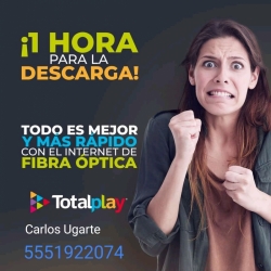 Totalplay internet