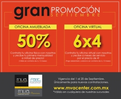 MVA PREMIUM PUERTA DE HIERRO
