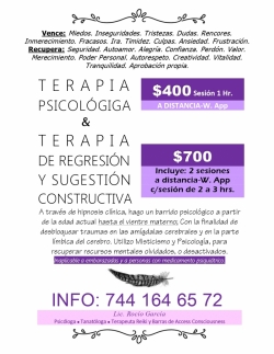 TERAPIA PSICOLÓGICA