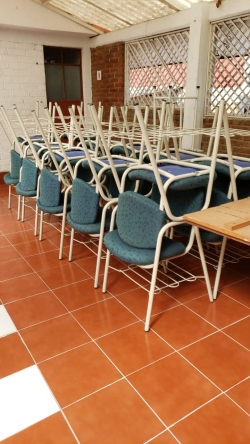 Lote de sillas acolchonadas