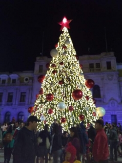 Árboles Navideños Gigantes 