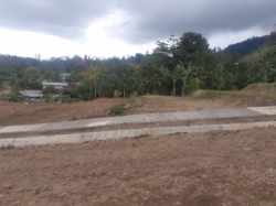 Lotes Turrialba Pavones desde 212 m²  hasta 266 m² en venta 