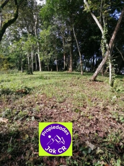 Finca en Tabarcia de Mora 3,5 hectáreas en venta info 6378-2611