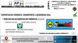 PERITOS EN ACCIDENTES DE TRÁNSITO- FÍSICOS VIALES Y AUDITORES VIALES: 