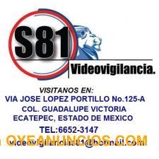 s81video